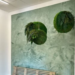 Moskugle med planter